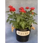 Kép 5/5 - Fém kaspó "Fleurs" felirattal